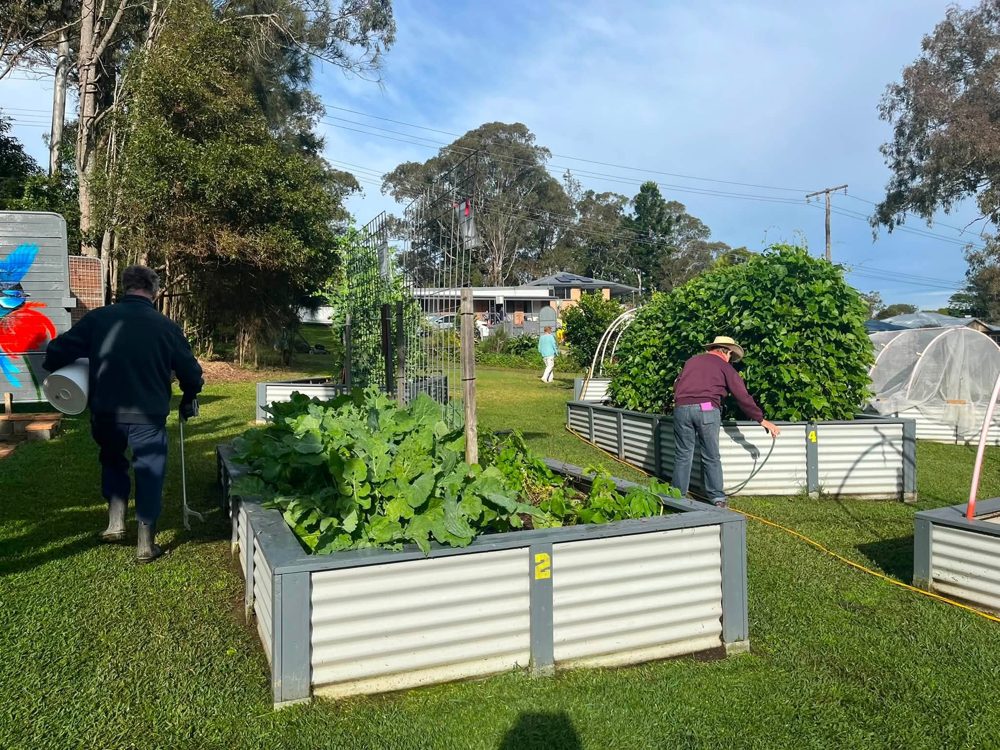 Two members tending the leafy raised beds on a clear morning